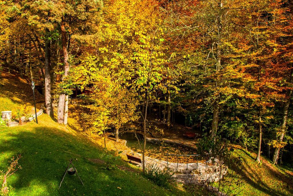 Pensiunea Boema Sinaia