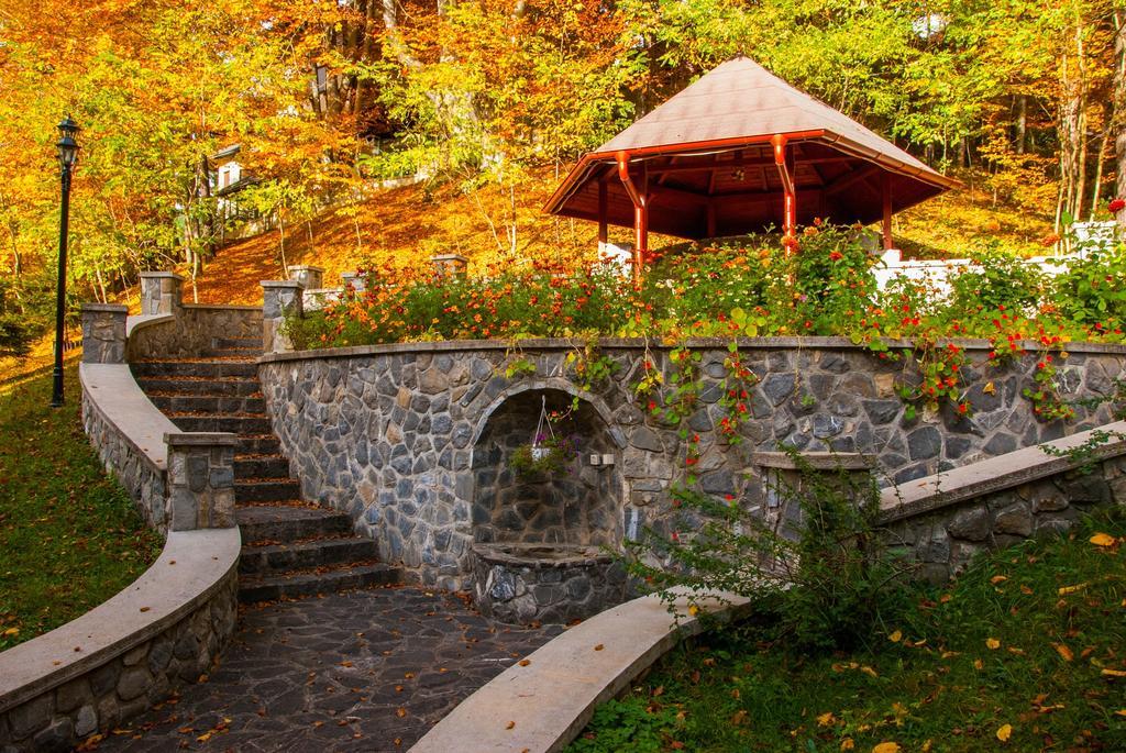Pensiunea Boema Guest house