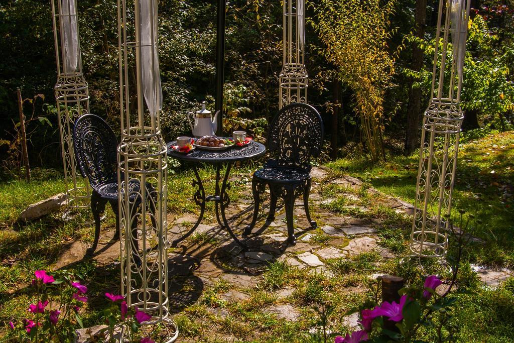 Guest house Pensiunea Boema 3*